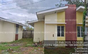 fil4020250224081