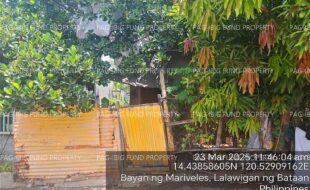 fil4020250326032