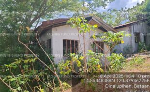 fil4020250408139