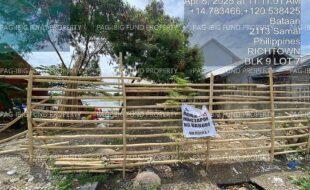 fil4020250408173
