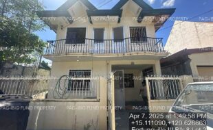 fil4020250411083