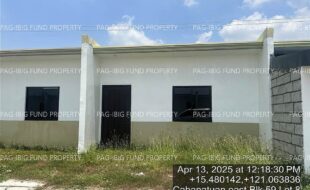 fil4020250415106
