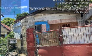 fil4020250429021