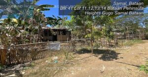 Pag-IBIG ROPA # 842202412070005 - Lot 12 Blk. 41 BATAAN PENINSULA HEIGHTS GUGO, SAMAL, BATAAN, 2113 - Negotiated Sale on Jul. 6, 2026 - Jul. 10, 2026