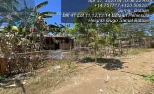 fil4020250429056