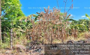 fil4020250502076
