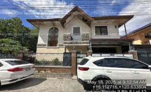fil4020250519058