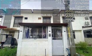 fil4020250707015