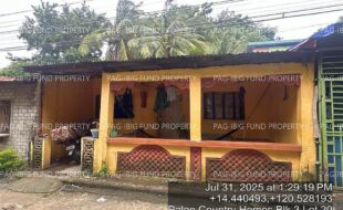 fil4020250801034