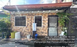 fil4020250813021
