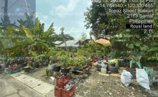 fil4020250814095