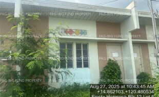 fil4020250828039