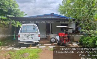 fil4020250905004