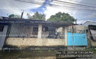 fil4020250916076
