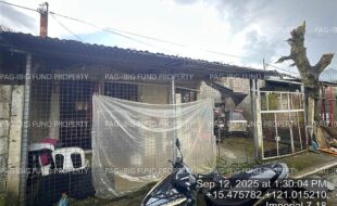 fil4020250916111