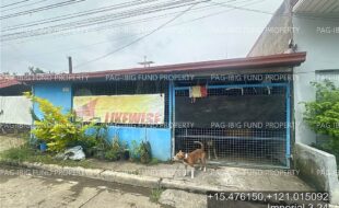 fil4020251016081
