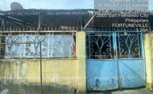 fil4020251111065