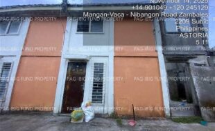 fil4020251117050