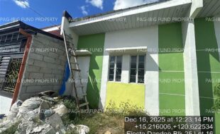 fil4020251217078