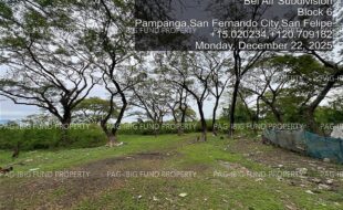 fil4020260106102