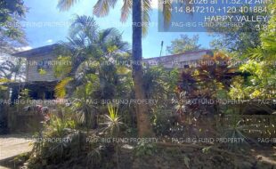 fil4020260115091