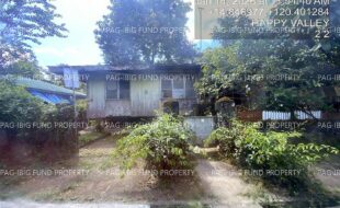 fil4020260115098