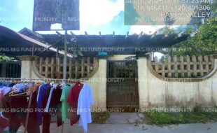 fil4020260115103
