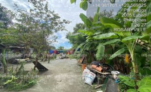 fil4020260115115