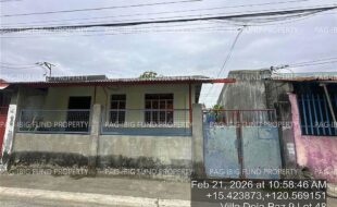 fil4020260227120