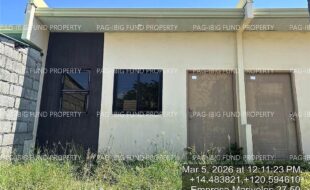 fil4020260306114