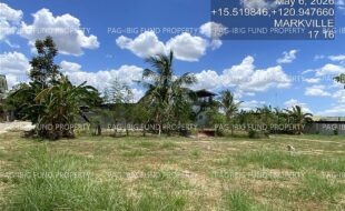 fil4020260511036
