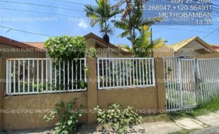 fil4020260528079