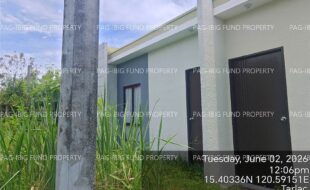 fil4020260603005