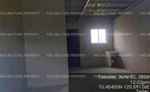 fil4020260603007