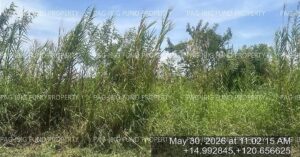 Pag-IBIG ROPA # 840202604290006 - Lot 07 Blk. 10 STA INES SUBDIVISION SANTA INES, BACOLOR, PAMPANGA, 2001 - 1st Public Auction on Jul. 6, 2026 - Jul. 10, 2026