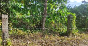 Pag-IBIG ROPA # 804719071500019 - Lot 2426-D-3-J NON SUBDIVISION WAWA, LUMBAN, LAGUNA, 4014 - Negotiated Sale on Jun. 22, 2026 - Jun. 26, 2026