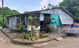 fil4720231019005