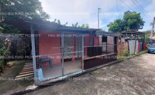 fil4720231019029