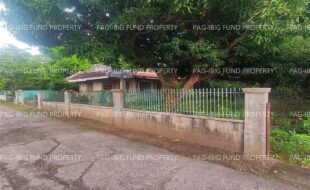 fil4720231211001