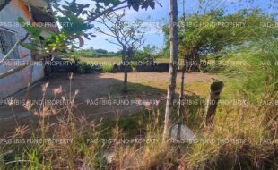 fil4720240123024