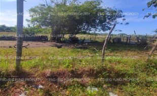 fil4720240127153