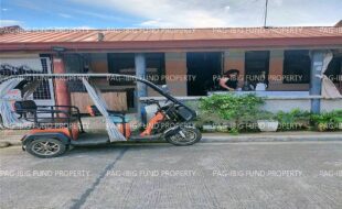 fil4720240127179