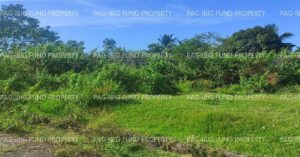 Pag-IBIG Foreclosed Lot Only - Lot 17 Blk. 17 DONA ROSARIO HEIGHTS PAYOMPON, MAMBURAO (CAPITAL), OCCIDENTAL MINDORO, 5106 - Negotiated Sale on Jun. 15, 2026 - Jun. 19, 2026