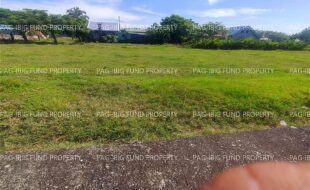 fil4720240127206