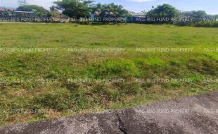 fil4720240127221