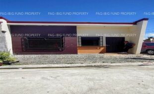 fil4720240506054