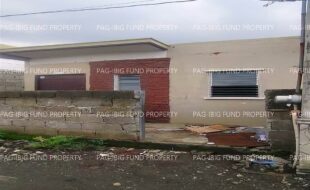 fil4720240622045