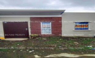 fil4720240622051