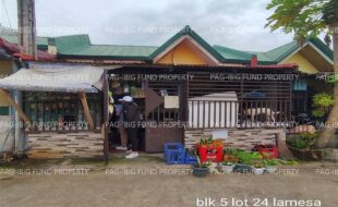 fil4720240724016