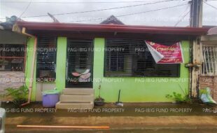 fil4720240727009